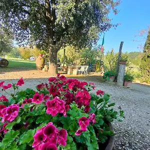 Azienda Agricola Polveraia Séjour à la ferme